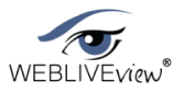 Weblivewview logo